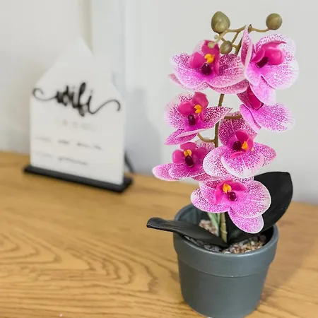 Apartman Stan Setaliste Brcko