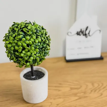 Apartman Stan Setaliste *