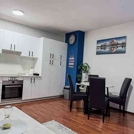 Apartman Stan Setaliste